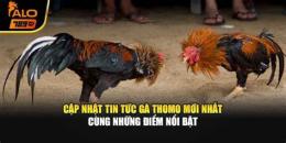 tính năng nổi bật clip đá gà thomo mới nhất