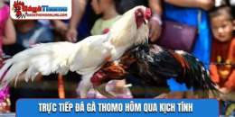 tính năng nổi bật clip truc tiep đa ga thomo