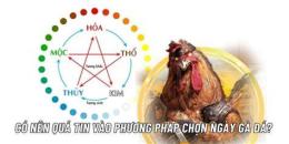 tính năng nổi bật coi màu mạng đá gà
