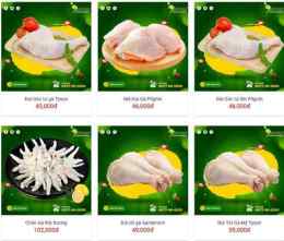 tính năng nổi bật cung cấp da gà đông lạnh