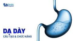 tính năng nổi bật dạ dày gà có bao nhiêu túi