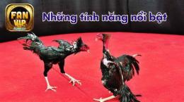 tính năng nổi bật đá gà 12 1