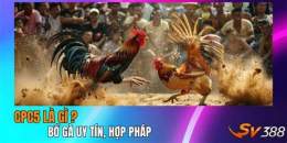 tính năng nổi bật đá gà 12 3