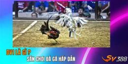 tính năng nổi bật đá gà 19 5