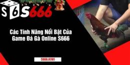 tính năng nổi bật đá gà 666