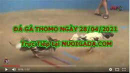 tính năng nổi bật đá gà 67.com hôm nay