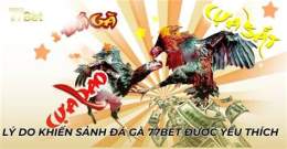tính năng nổi bật đá gà 77bet