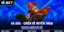 tính năng nổi bật da ga 88 bet