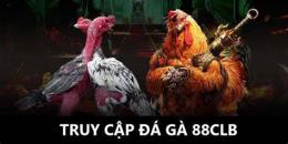 tính năng nổi bật đá gà 88clb