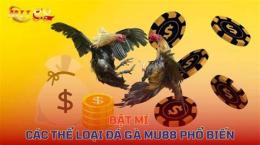 tính năng nổi bật đá gà 88e