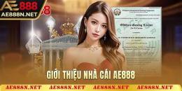 tính năng nổi bật đâ gà ae888