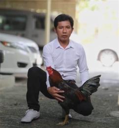 tính năng nổi bật đá gà anh ba cọp