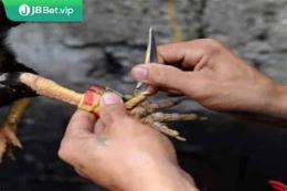 tính năng nổi bật đá gà bằng cựa dao