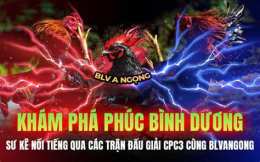 tính năng nổi bật đá gà bảo sting trận 26