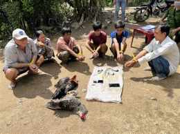 tính năng nổi bật đá gà bình luận viên hồ chí minh
