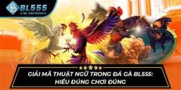 tính năng nổi bật đá gà bl555