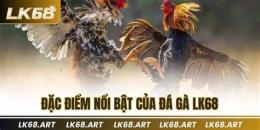 tính năng nổi bật đá gà bộ tân hôn