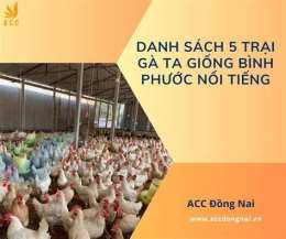 tính năng nổi bật đá gà bồ thường phước