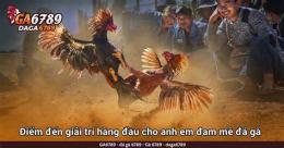 tính năng nổi bật đá gà c1 c2 c3 hôm nay