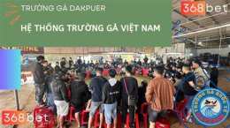 tính năng nổi bật đá gà c1 dakpuer 888