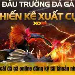 top 10 nhà cái cá cược đá gà