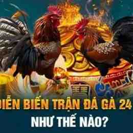 trận đá gà 24 tỷ của phúc bình dương