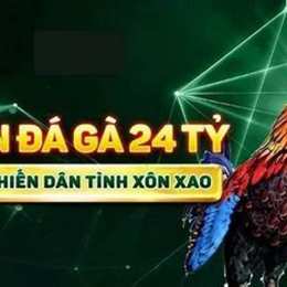 trận đá gà 24 tỷ hôm nay