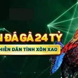 trận đá gà 24 tỷ trực tiếp ngày hôm nay