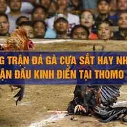 tran ga da hay