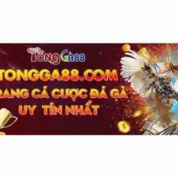 trang đá gà bảo xì tin