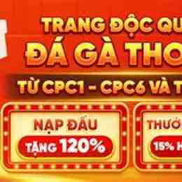trang đá gà mạng thomo