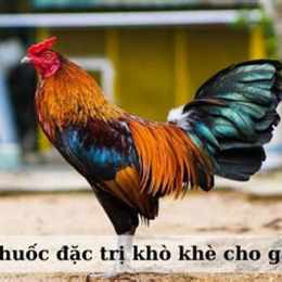 tri benh kho khe cho ga da