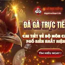 truc tiep c3 da ga