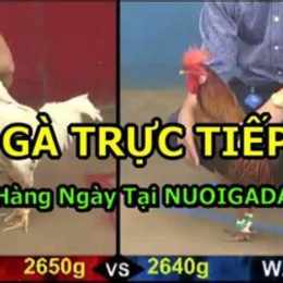 truc tiep da ga 28/7