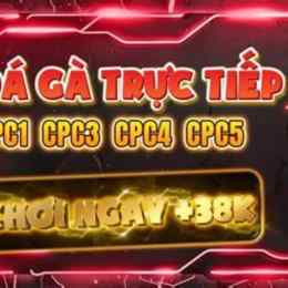 trực tiếp đá gà c1 hôm nay 888 gà đòn