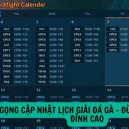 trực tiếp đá gà c3 tran 21