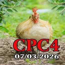 truc tiep da ga cpc4 an giang