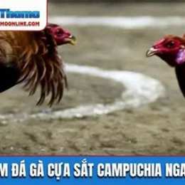 truc tiep da ga cua sat campuchia