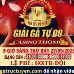 trực tiếp đá gà thomo 27 tháng 5