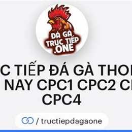 trực tiếp đá gà thomo hôm nay cpc1 cpc2 cpc3