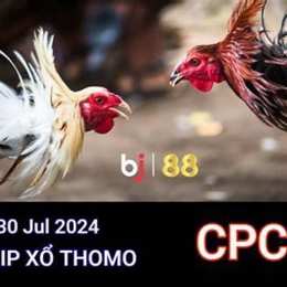 trực tiếp đá gà thomo ngày 30 tháng 8