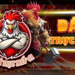 trực tiếp đá gà tre casino
