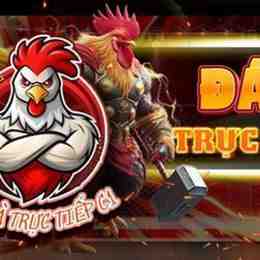 trực tiếp đá gà tre lai
