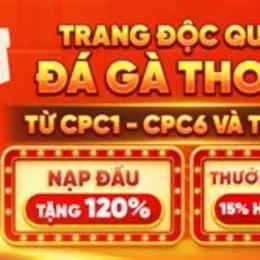 trực tiếp đá gà trên mạng thomo