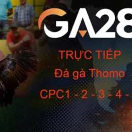 trực tieps đá gà