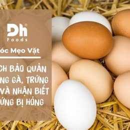 trứng gà bị đông đá