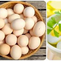 trứng gà có tác dụng gì cho da mặt