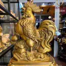 tuong ga da