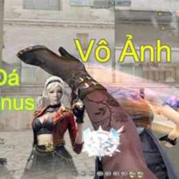 venus đá gà
