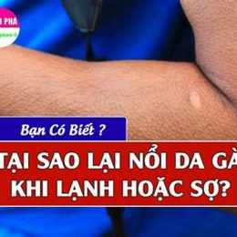 vì sao lại nổi da gà